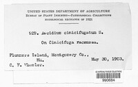 Image Associated With the Occurence
